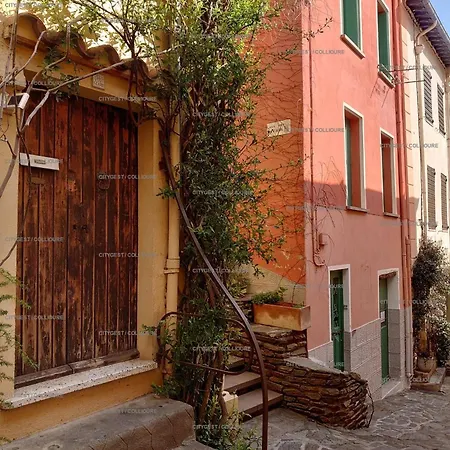 3conv16 - Proche 公寓 *